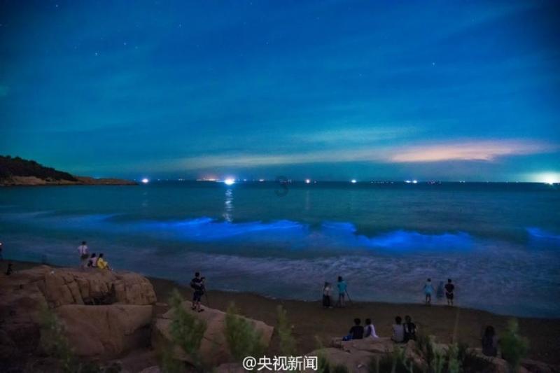 魔兽世界